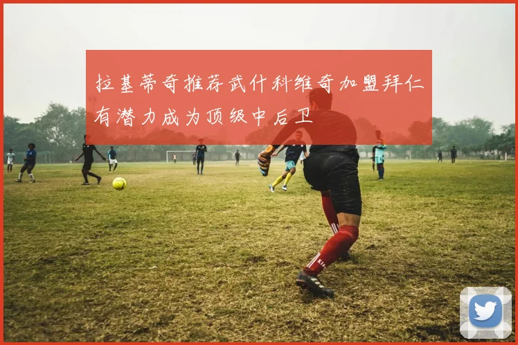 拉基蒂奇推荐武什科维奇加盟拜仁有潜力成为顶级中后卫