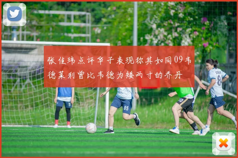张佳玮点评华子表现称其如同09韦德莱利曾比韦德为矮两寸的乔丹